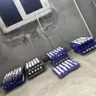 بيض بلدي مخصب