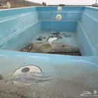 مسبح فيبر مستعمل للبيع