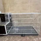 قفص انتاج كاسكو نيبالي