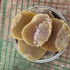 عسل سدره بلدي مضمون ( صافي ) وشمع