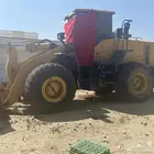 شيول ستليج 2020