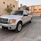F-150 PLATINUM 2010