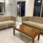 كنب