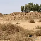 روث غنم