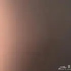 كلب