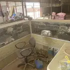 قطع غيار مستعمل