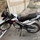 هوجي