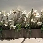 2 مراكن زرع صناعي للبيع اشتريت الحبة ب120