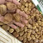 تمر جلكسي
