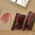 خداديات ولوحات نظيفه شبه جديده