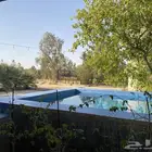للإيجار اليومي
