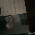 كتكوت للتبني   كتكوت صغير  جاهز لشخص مهتم يجي ياخذه فور ا