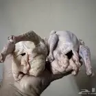 فروخ حمام سوبر جامبو حجم طيب