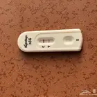 اختبار حمل سريع