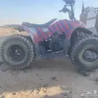 دباب