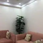 كنب