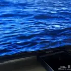 شاشه 55 بوسه