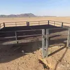 شبوك ومضلات ابل وراويه