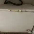 فريز