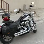 هارلي هيرتج 2021