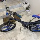 الرياض