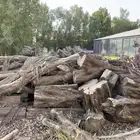 حطب
