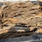 ح ط ب غ ض ا ء