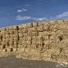 ذره شاميه شد جندير تبوك طريق المدينه