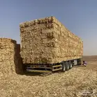 ذره شاميه ممتازه