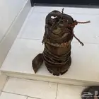 غطاس ايطالي خربان