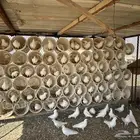 حمام فرنس 40 زوج جامبو البيع العشه كامله