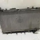 راديتر كابرس
