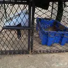 شبك 1 1 حق دجاج او حمام ل