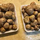 اللكم (كمأة) للبيع