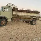 حصنيه شاص طويل