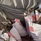 دفاية الشتاء