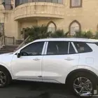 تيرتوري ستاندر للبيع