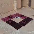 مدات بر بسعر 339 للطقم