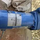 دينمو سمنان حصان ووحد الموقع الاحساء بريق ا
