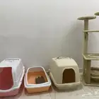 مستلزمات قطط