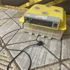 فقاسه صينيه تم التفقيس اربع مرات
