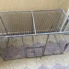 شبك دجاج