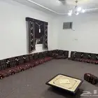 مطلوب كنب ارضي