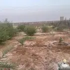 استرحه جاهزه للبيع بالجله مساحه 2000 تبعد عن خط مكه 4 كيلو