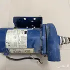 دينمو سمنان امريكي