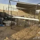 شبك صغير