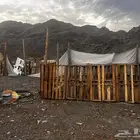 شبك غنم للبيع