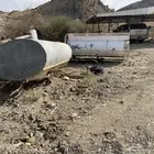 بيشه ترج