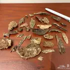 عود كلمنتان مالينو دبل سوبر مميز