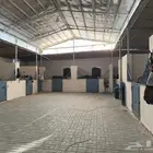 ايواء وتدريب وركوب خيل بالعمارية